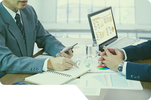 Statutory Audit